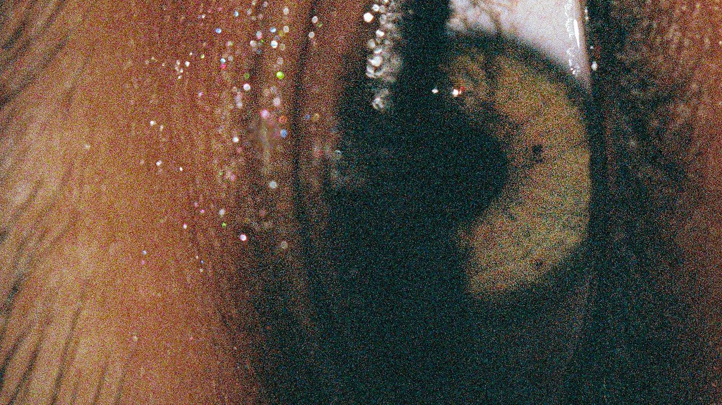 5 Photographers to follow this month (if you're not already)  August 2023