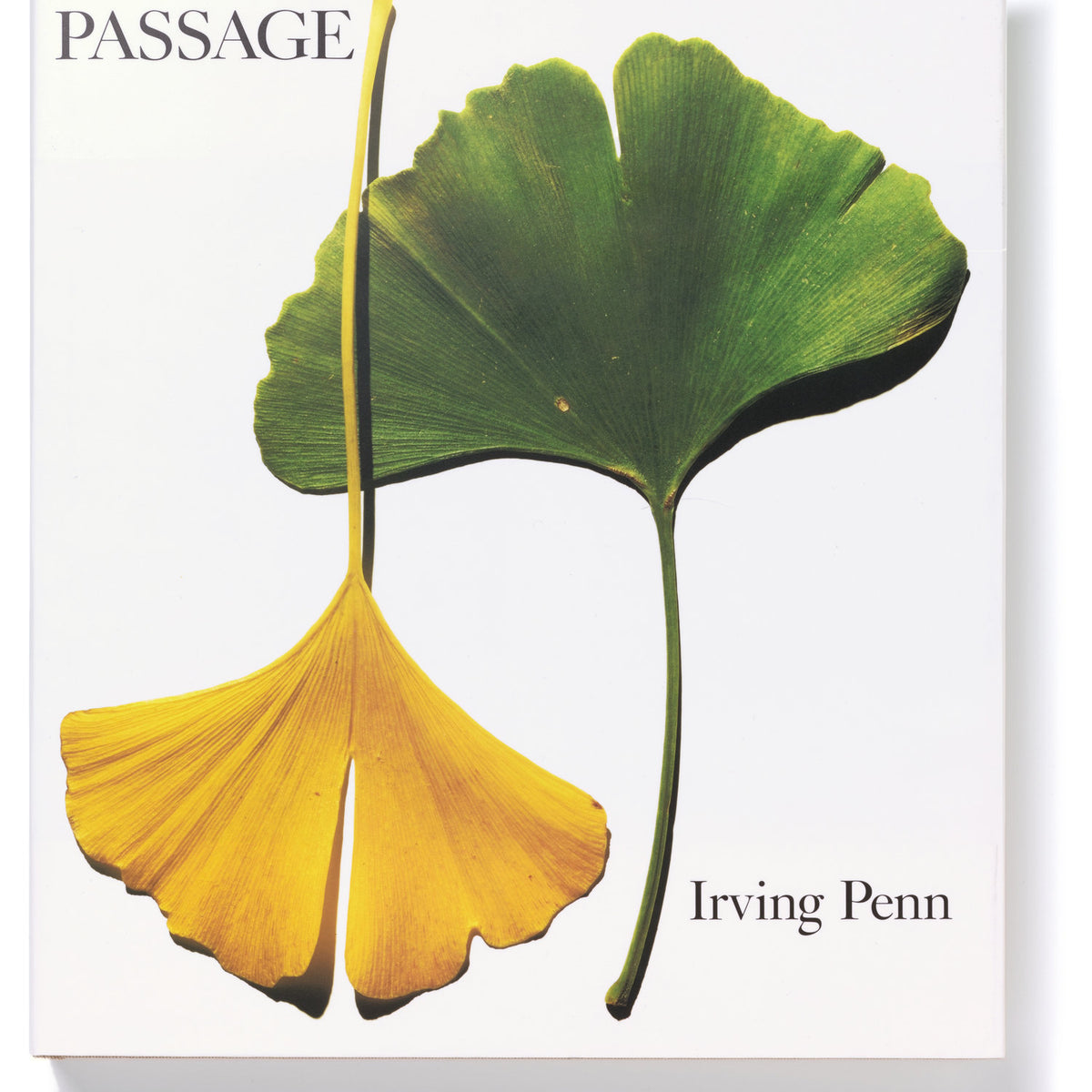 Irving Penn - Passage – Parallel Editions