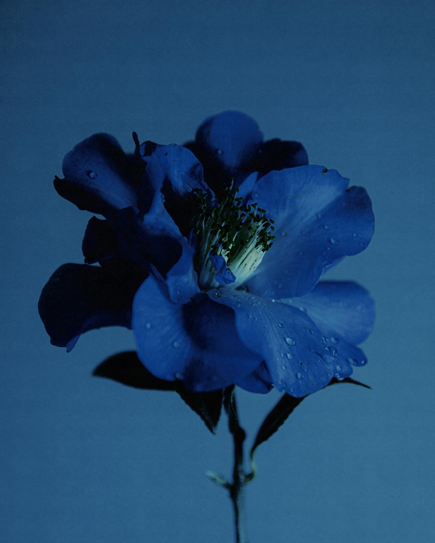 Interview Thais Varela