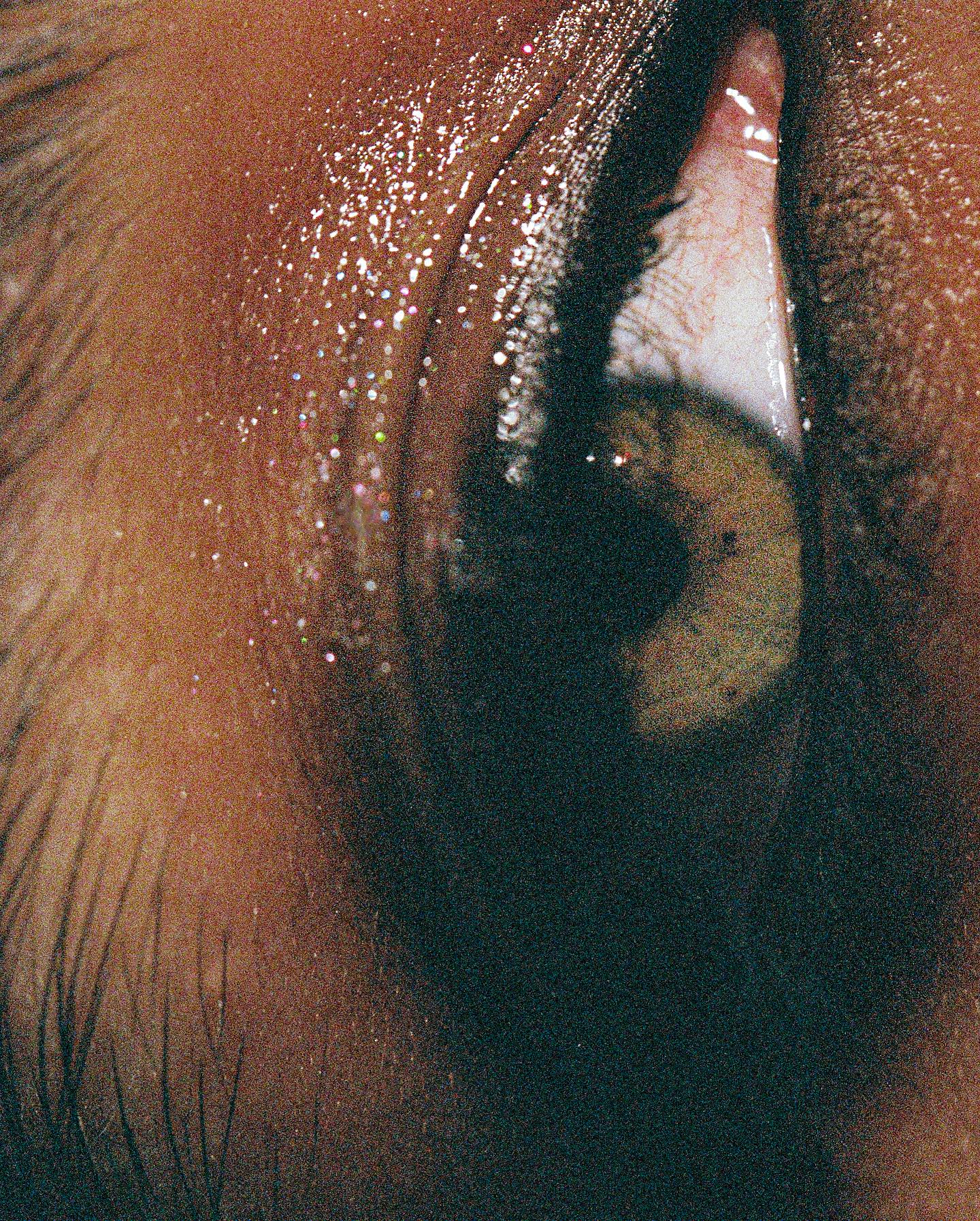 5 Photographers to follow this month (if you're not already)  August 2023