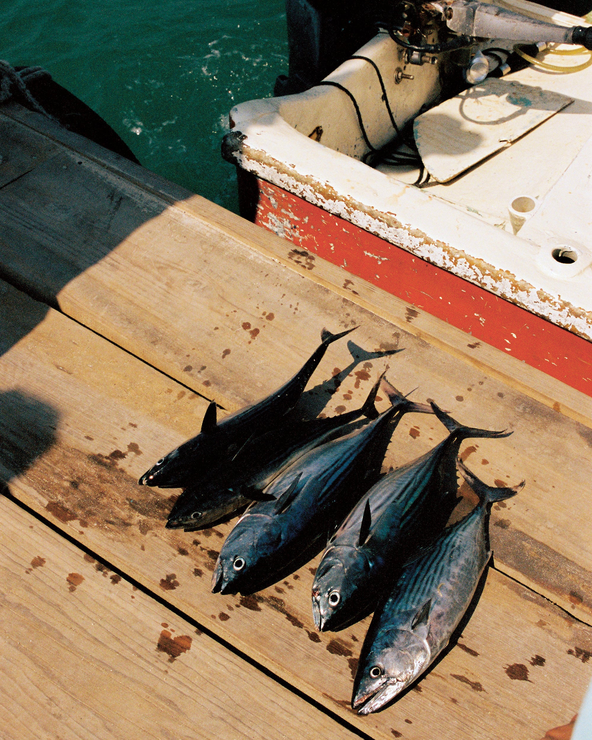 Between Places and Memories: Pia Riverola’s Poetic Travelogue in Días