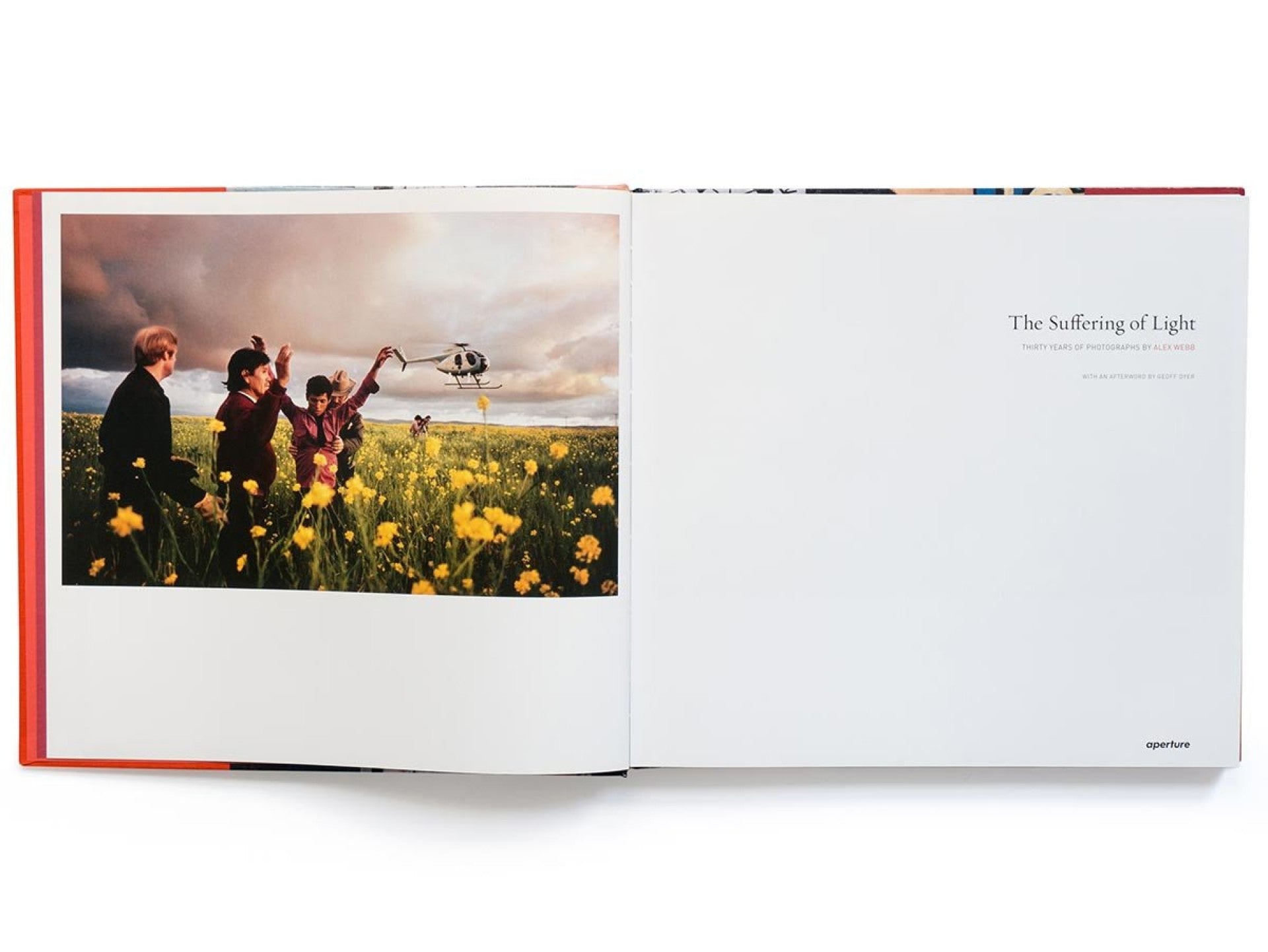 The Suffering of Light アレックスウェブ 写真集 The Suffering of