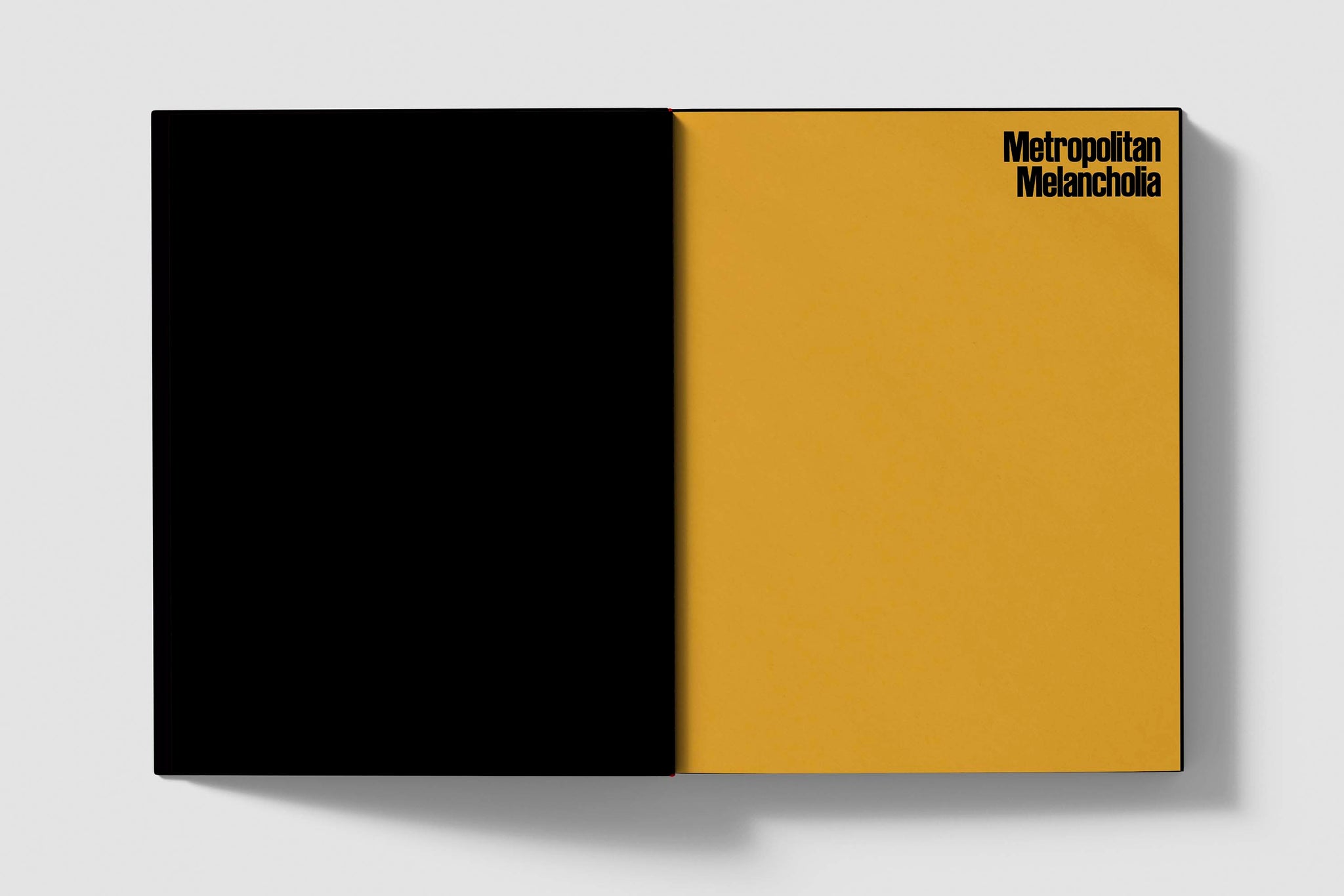 Sarah Van Rij & David Van Der Leeuw - Metropolitan