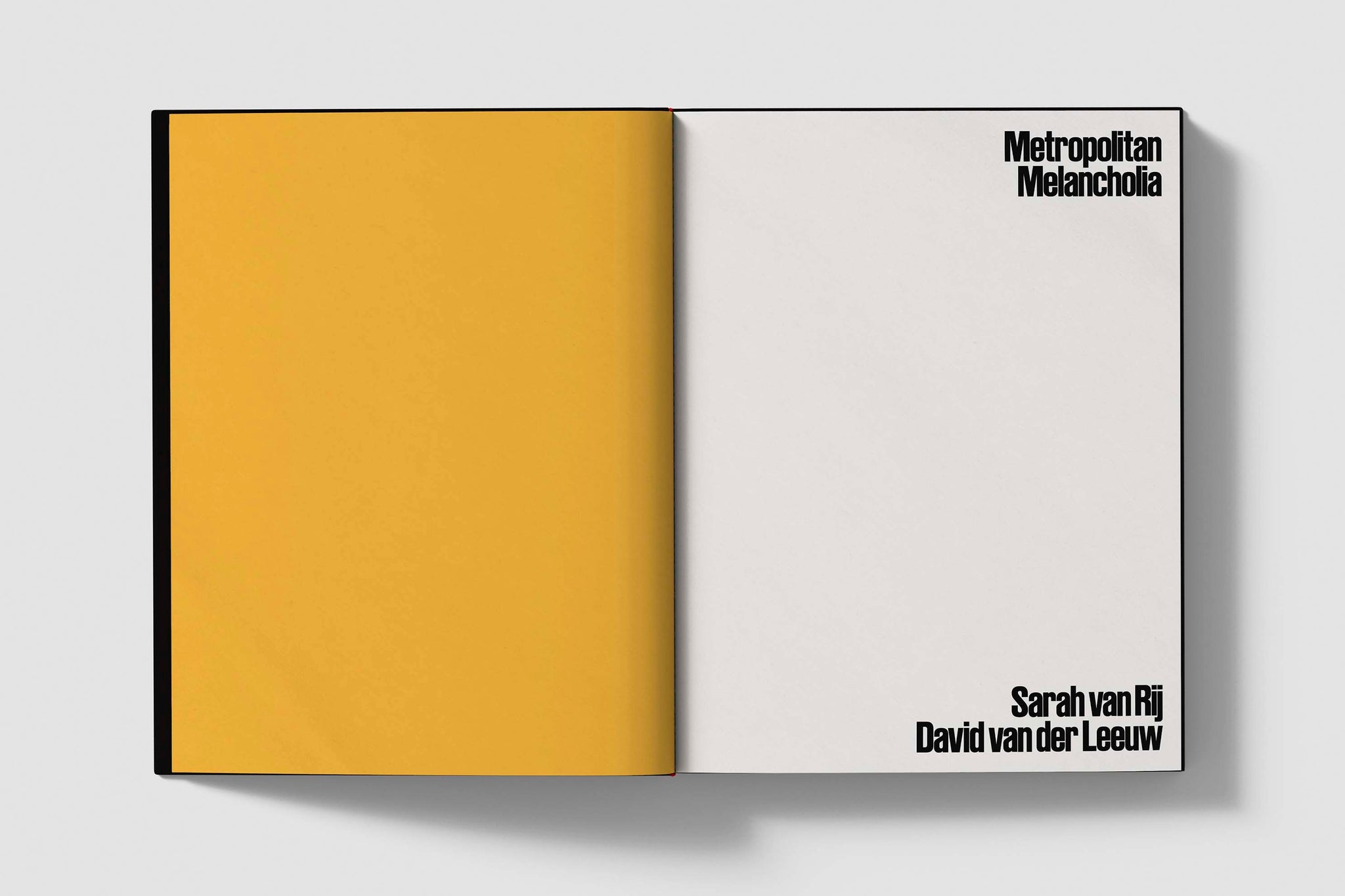 Sarah Van Rij & David Van Der Leeuw - Metropolitan Melancholia