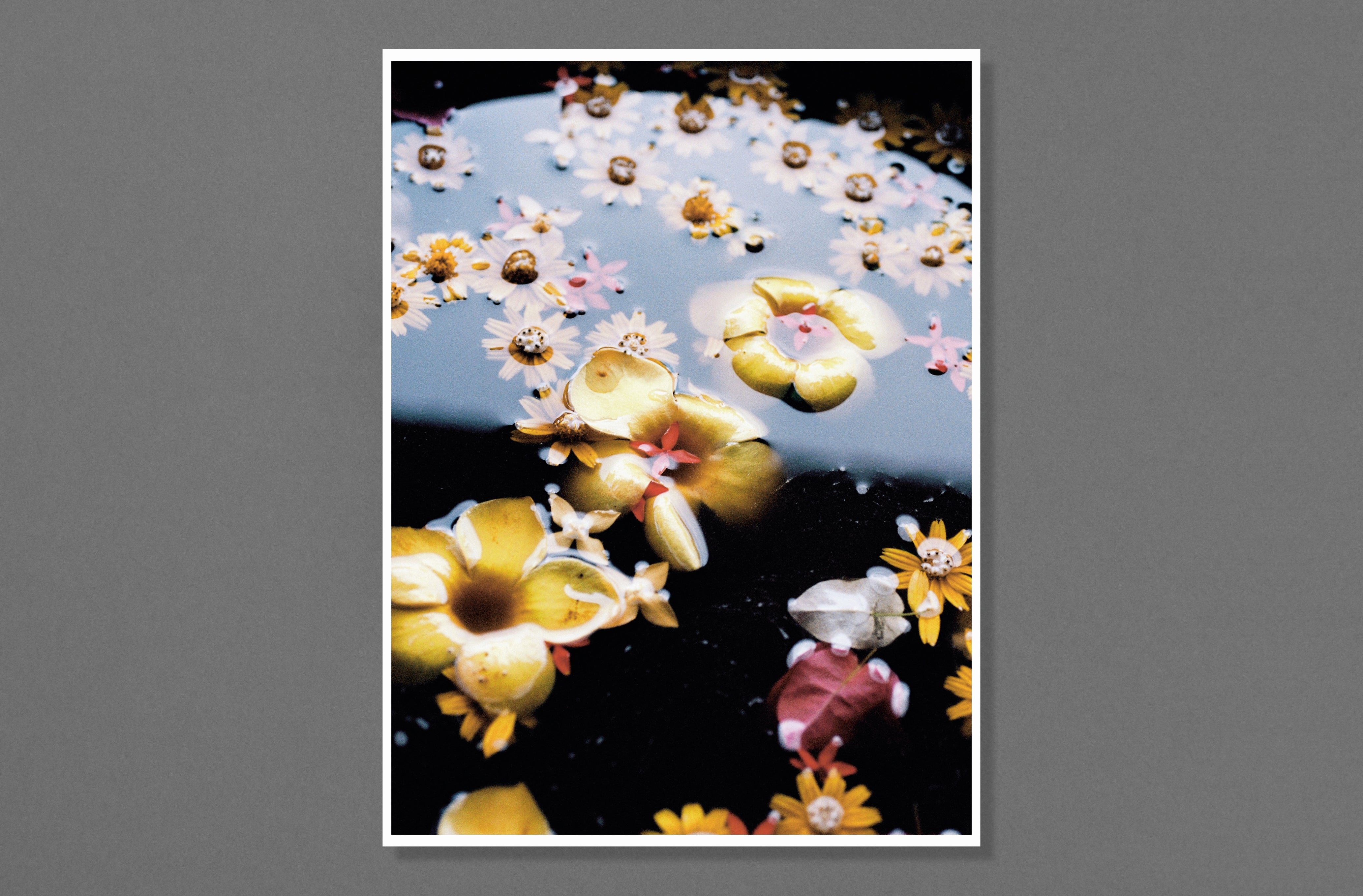 Pia Riverola - Dias – Parallel Editions