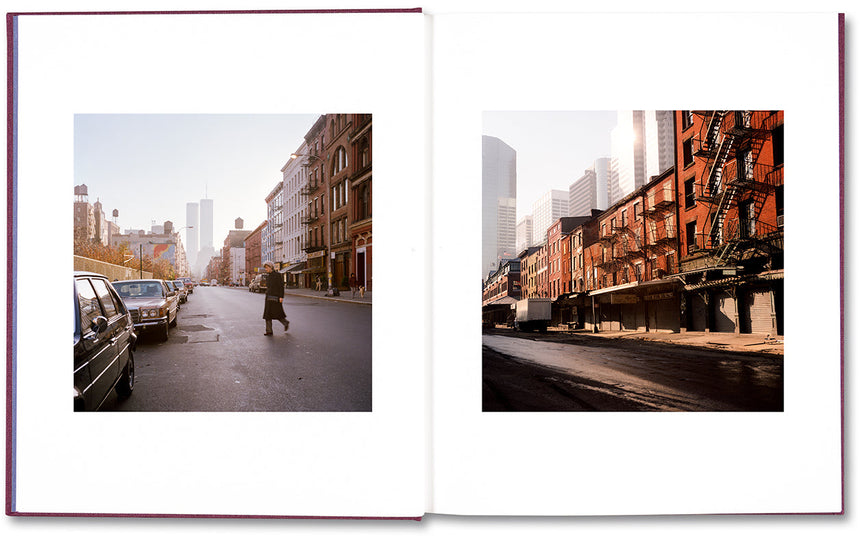 Janet Delaney - Red Eye to NY – Parallel Editions