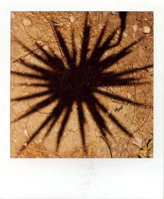 MIKE SLACK SCORPIO 写真集 The Ice Plant