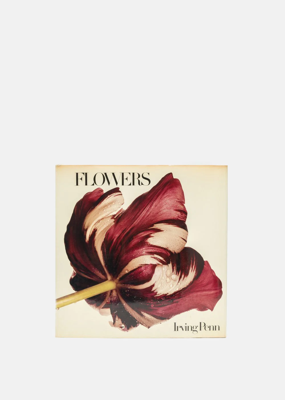 アート・デザイン・音楽 FLOWERS Irving Penn Irving Penn - Flowers – Parallel Editions