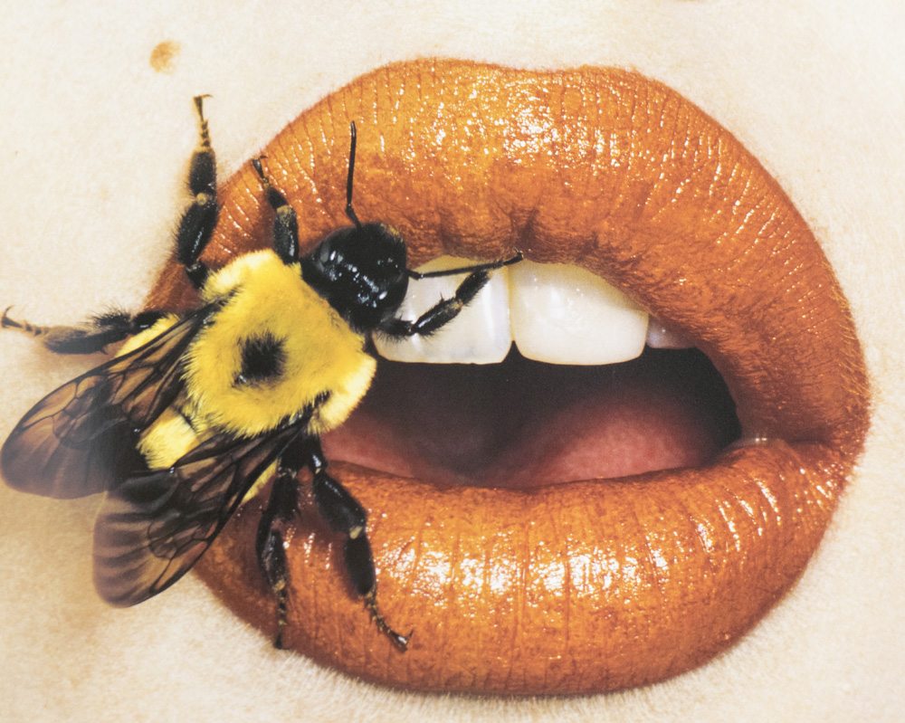 Irving Penn - Still Life – Parallel Editions