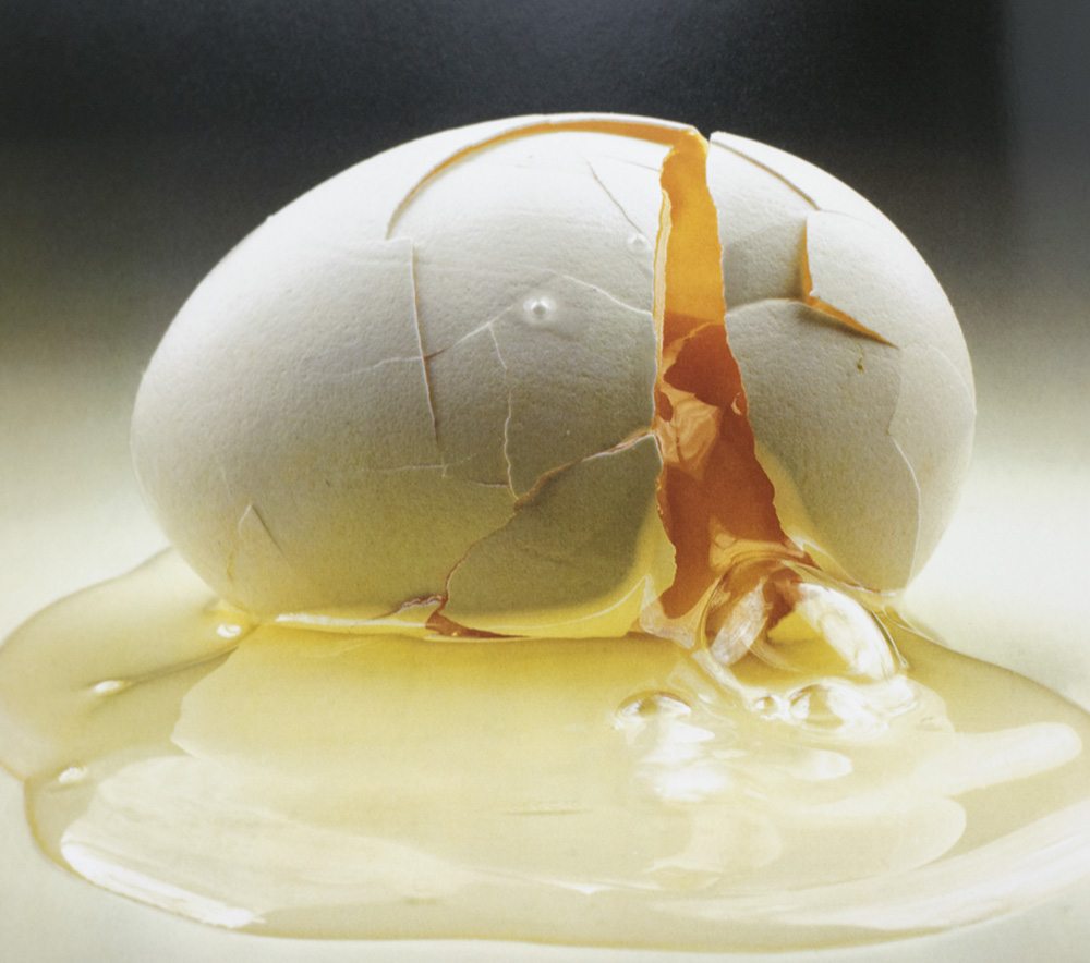 芸術写真 Still Life | Irving Penn ?height=489&quality=80&