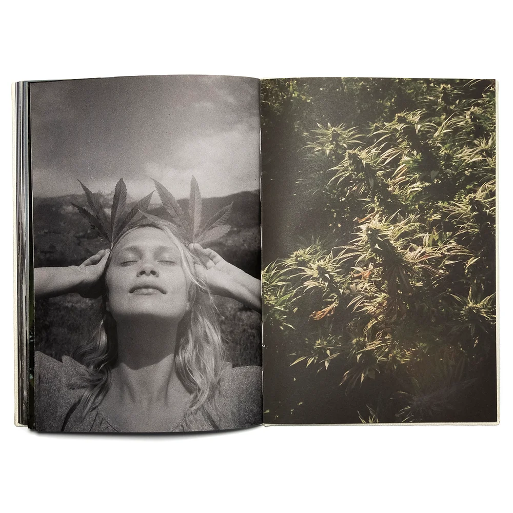 Pierrot & Purienne - Wandering & Learning – Parallel Editions Pierrot & Purienne - Wandering & Learning – Parallel Editions