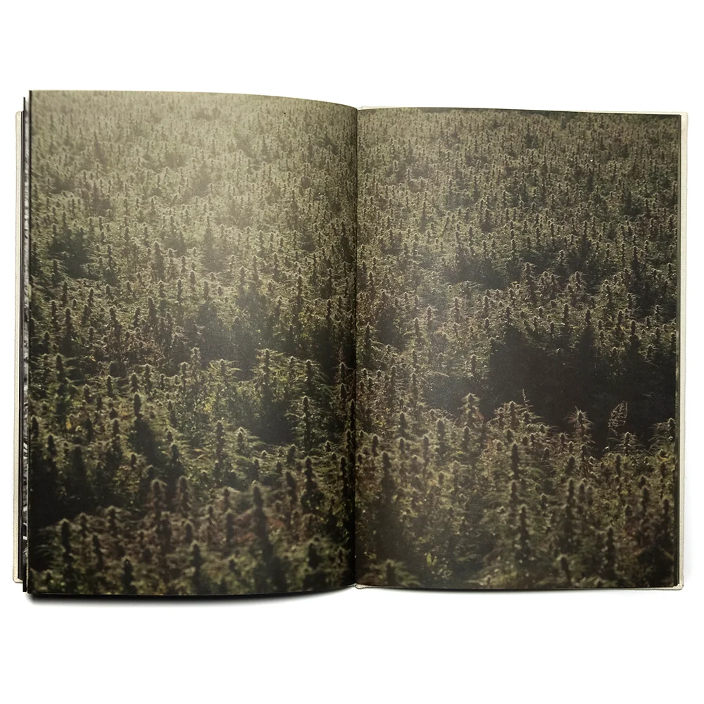 Pierrot & Purienne - Wandering & Learning – Parallel Editions Pierrot & Purienne - Wandering & Learning – Parallel Editions